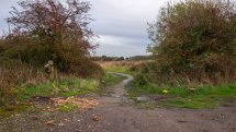 The Horsefield
