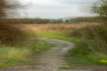 The Horsefield