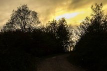 The Horsefield Sunset