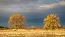 Dramatic Sunset Light