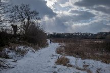 The Horsefield Winter