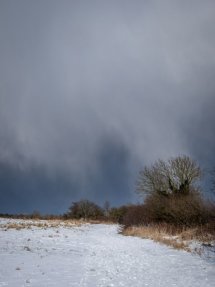 The Beast From The East
