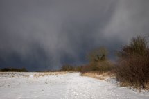 The Beast from the East Strikes