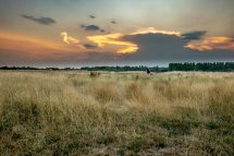 Horsefield Sunset