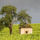 Vine Worker's Hut