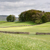 In the Yorkshire Dales