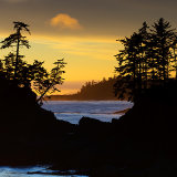 Near Amphitrite Point