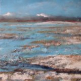 Bolivian Salt Lake No3 COMMISSION