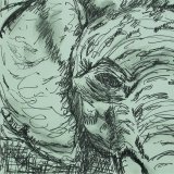 Elephant approaching the car!