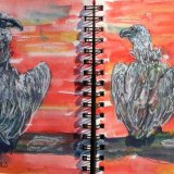 Hooked Beaked Vutures