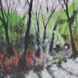 Light on the Edge of the Forest