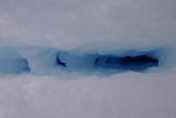 Crevasse