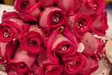 Red rose bouquet