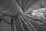 Spiral