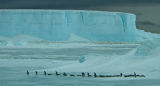 March of the Penguins