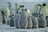 Happy Feet..!