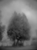 Winter-7