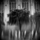 Tree and Church