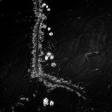 zzzzzzzzzzzzzzzz-1-5