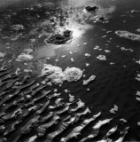 zzzzzzzzzzzzzzzzzzzz-1-11