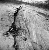 zzzzzzzzzzzzzzzzzzzz-1-12