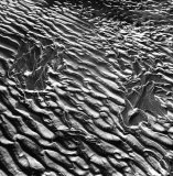 zzzzzzzzzzzzzzzzzzzzzz-1-9