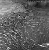 zzzzzzzzzzzzzzzzzzzzzz-2