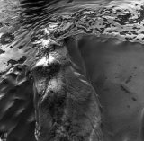 zzzzzzzzzzzzzzzzzzzzzz-3