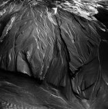 zzzzzzzzzzzzzzzzzzzzzz-5