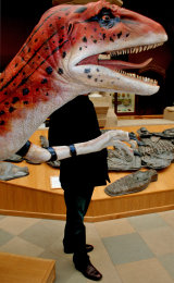 Old head on young shoulders