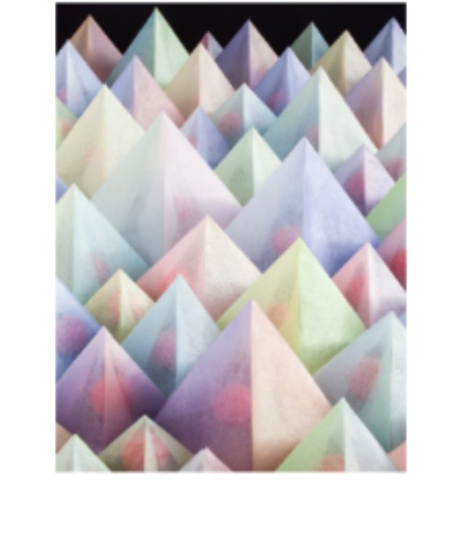 The Passenger's Present