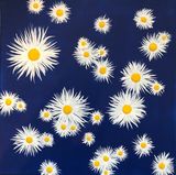 Crazy Daisies