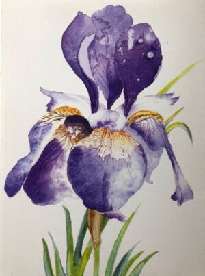 Lois Bennett