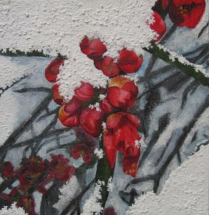 Blossom in the Snow