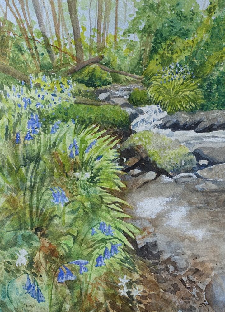 Bluebell Brook