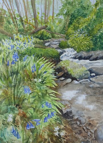 Bluebell Brook