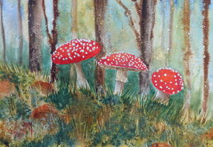 Fly Agaric in the Forest