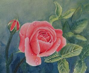 Summer Rose