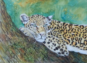 Lounging Leopard