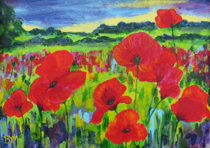 Poppy Meadow