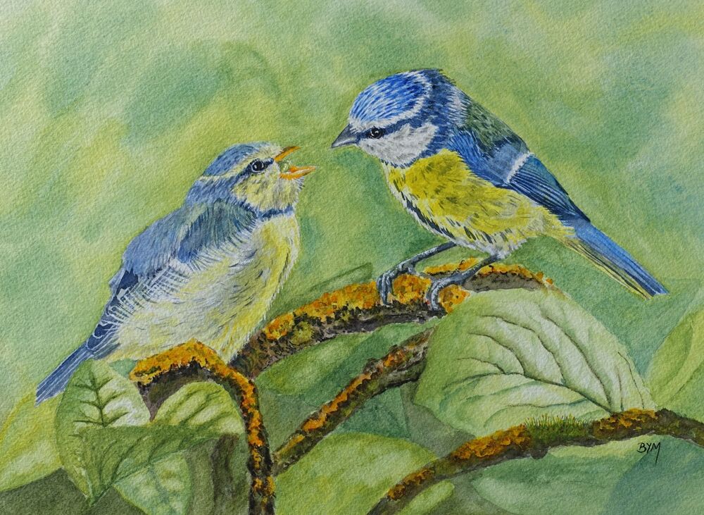 The Hungry Fledgling