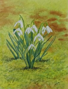 Botanical and still life