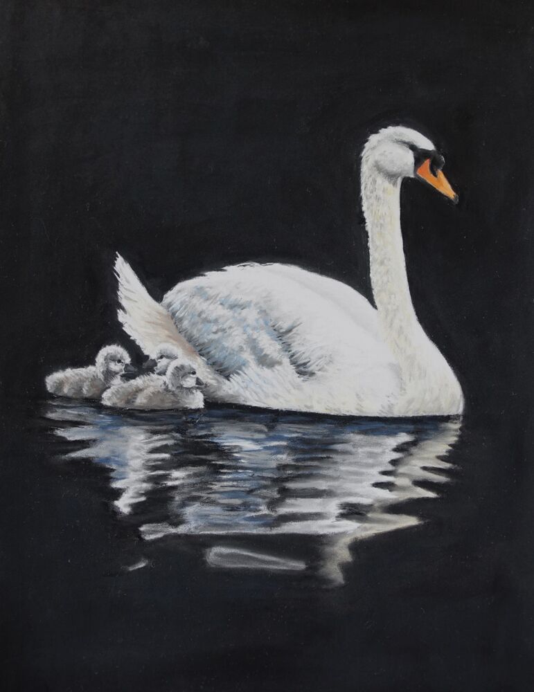 The Swan Family