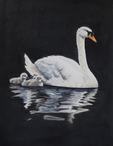 The Swan Family