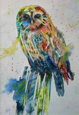 Starting In Drawing and Painting