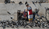 The Pigeon Lady