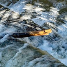 This Stick is Stuck!