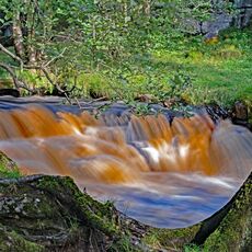 Below East Gill Force