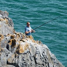 Stackpole Fisherman