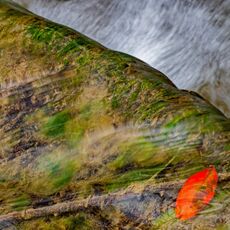 I'm Red and I'm Stuck On a Stick!